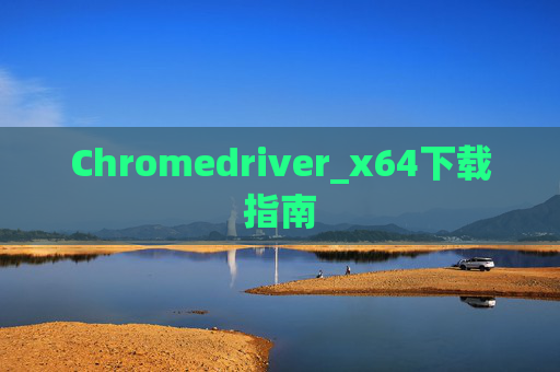 Chromedriver_x64下载指南